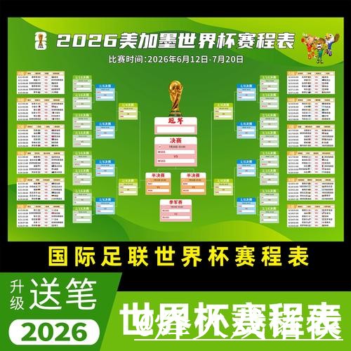世界杯在线直播入门指南，备用网址与线路切换说明